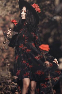 Killstar — Pandora