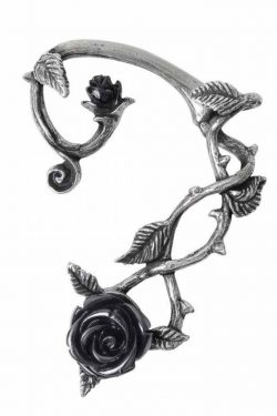 Alchemy England — Wild Black Rose