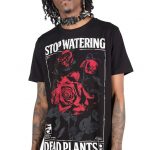 Killstar — Dead Rose