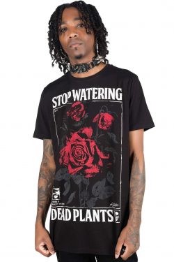Killstar — Dead Rose