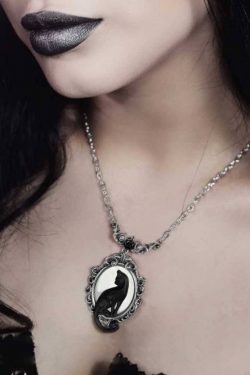 Alchemy England — Feline Felicity