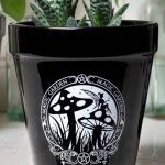 Alchemy England — Magic Garden