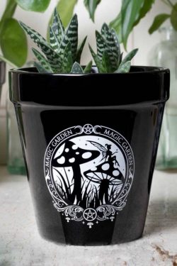 Alchemy England — Magic Garden