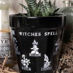 Alchemy England — Witches Spell