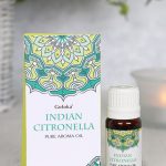Goloka — Indian Citronella