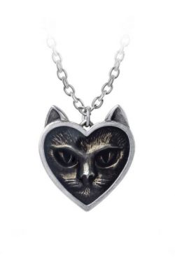 Alchemy England – Love Cat
