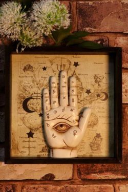 Nemesis Now – Palmistry Companion