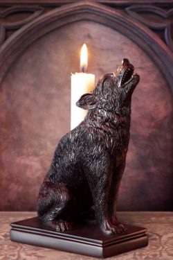 Alchemy England – Ulula Noctis