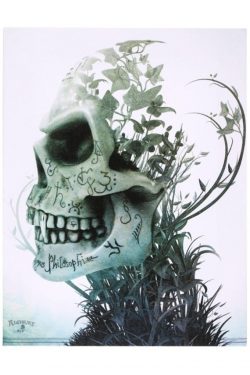 Alchemy England — Satyr Sancti