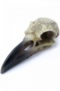 Alchemy England — Omega Raven Skull