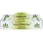 Witch’s House — Cannabis