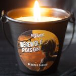 Witch’s House — Werewolf Poison