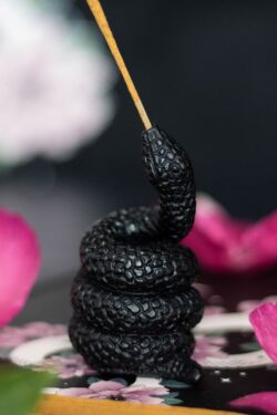 Witch’s House — Black Snake