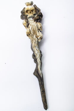 Pacific — Skull