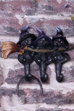 Nemesis Now - Witches Helpers