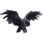 Nemesis Now — Dark Feather