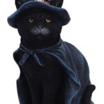Nemesis Now – Bewitching