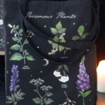 Witch’s House — Poisonous Plants