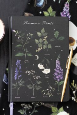 Witch’s House — Poisonous Plants