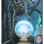 Witch's House — The Witches Apprentice