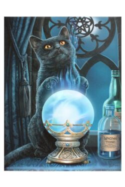 Witch's House — The Witches Apprentice