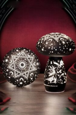 Alchemy England — Mycelia Dreams