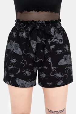 Disturbia – Parasite Bugs