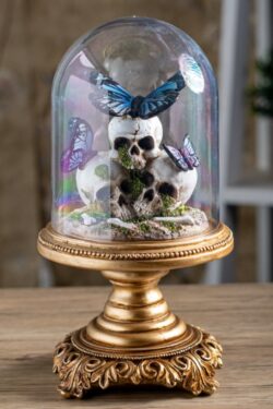 Pacific – Butterfly Skull