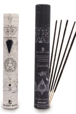 Ancient Witch — Success