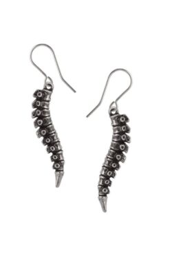 Alchemy England – Spine