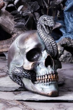 Nemesis Now – Serpentine Fate