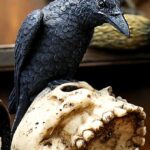 Nemesis Now – Ravens Remains
