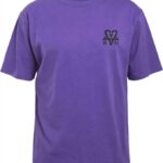 Fallen – Bam (Purple/Black)